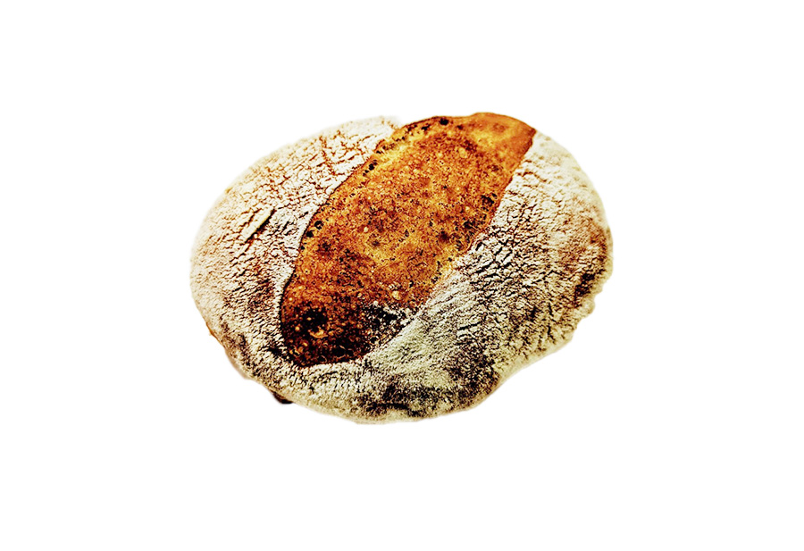 限定パンイメージ