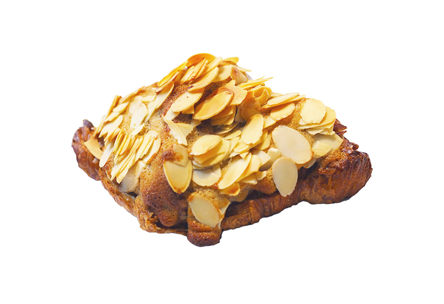 限定パンイメージ