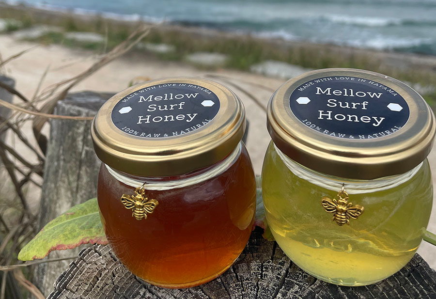 シンボル商品イメージ